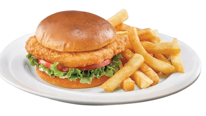 Chicken Burger with Fries